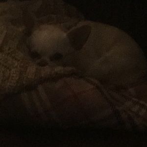 Meet your Posher, Kelly